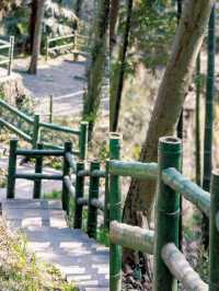 挑戰上海第一高峰佘山一沒留神就登頂