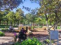 華泾公園