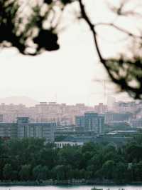 【北京景點】景山公園：俯瞰故宮全景俯仰天地之間