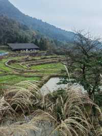 重慶墊江飛茑集—巴谷宿集，大山裡的田園民宿群