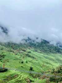 四月份的篁嶺景區