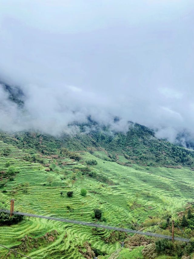 四月份的篁嶺景區