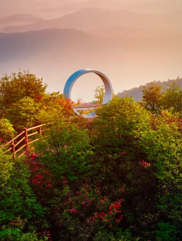 A springtime affair ends with the sunrise over the starry sea of flowers at Dawei Mountain