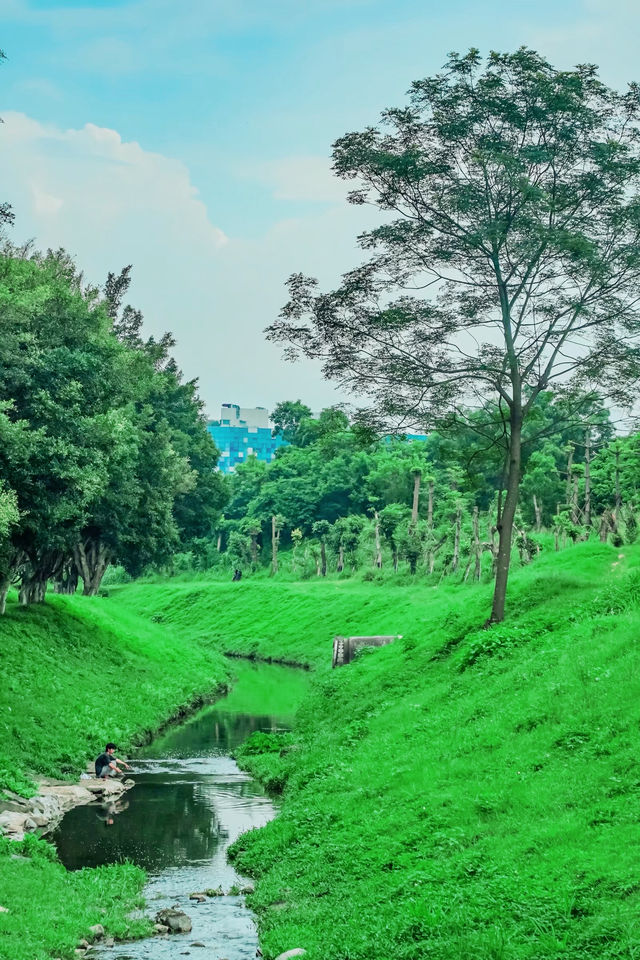 廣州夏日玩水·藏在市區裡的清涼小溪，溯溪玩水聖地！