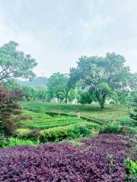 義烏瘋狗露營基地，名字奇特，風景秀麗