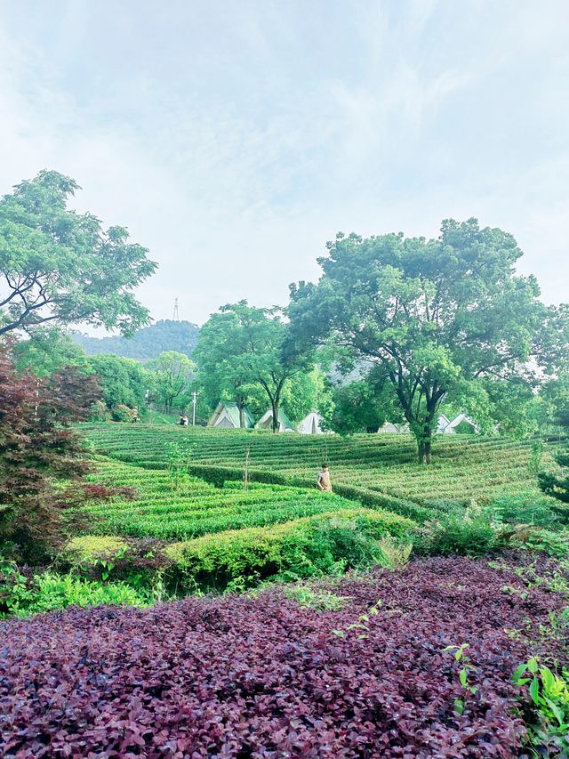 義烏瘋狗露營基地，名字奇特，風景秀麗