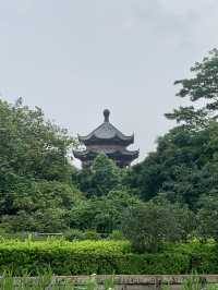 北滘｜廣州周邊的新晉人文一日遊勝地