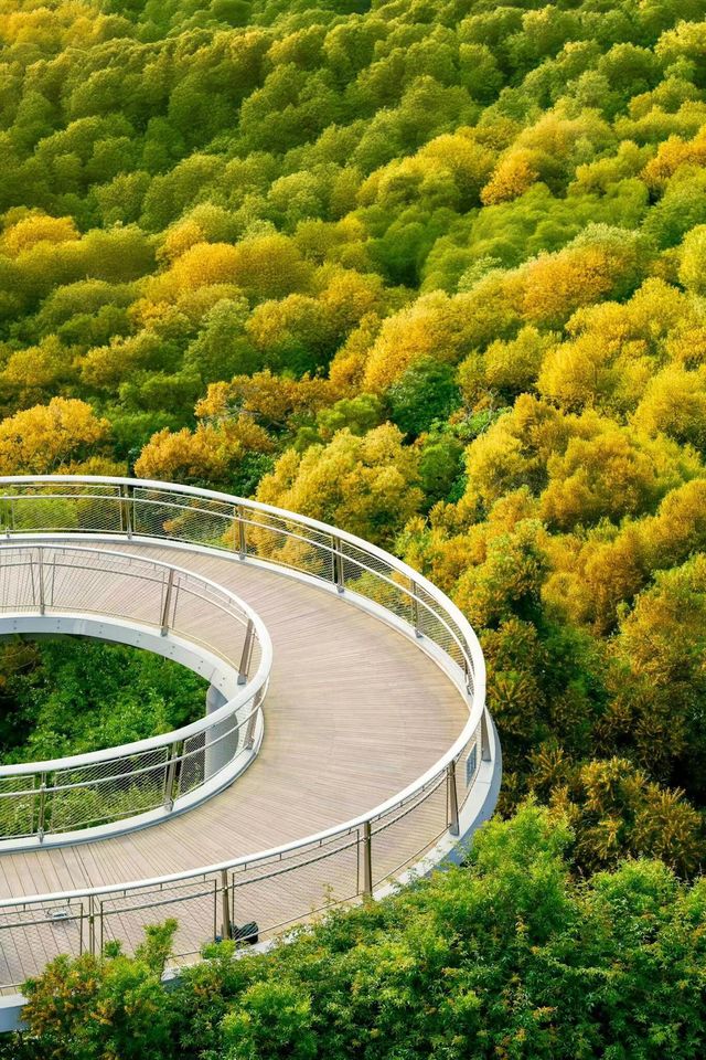 廈門東坪山已經美到Next Level。