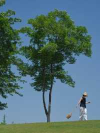 謝子龍新機位夏天的綠五分鐘拍了100張