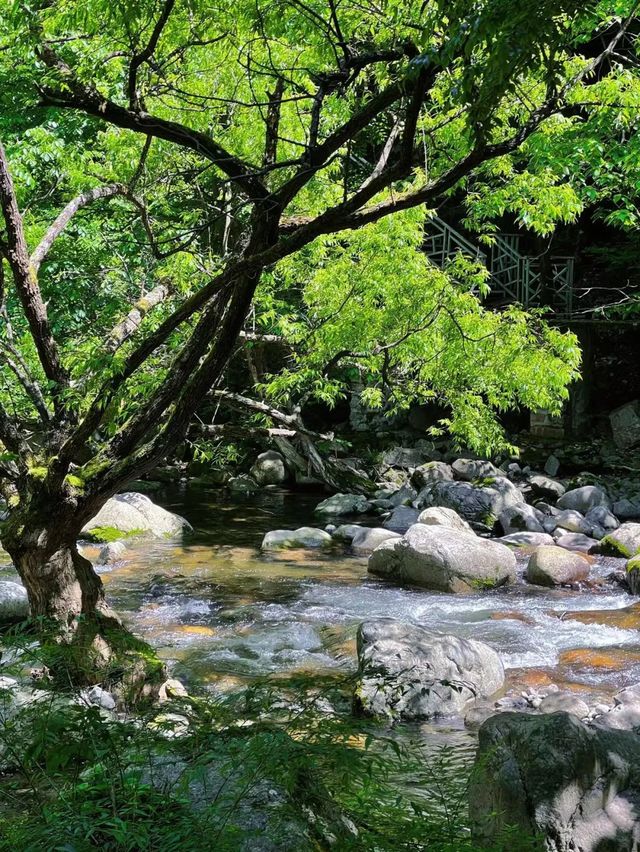 西安周邊遛娃納涼徒步玩水好去處——秦嶺小眾路線攻略