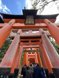 The Iconic Fushimi Inari Shrine in Kyoto ⛩️🦊🇯🇵