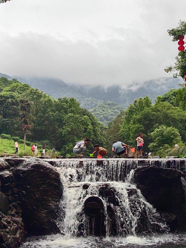 廣州溜娃玩水最美地！！廣州從化石門森林公園