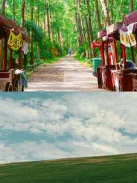 無盡夏已開合肥人有屬於自己的綠野仙蹤