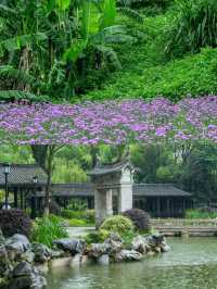 北京出發，週末暢遊溫州