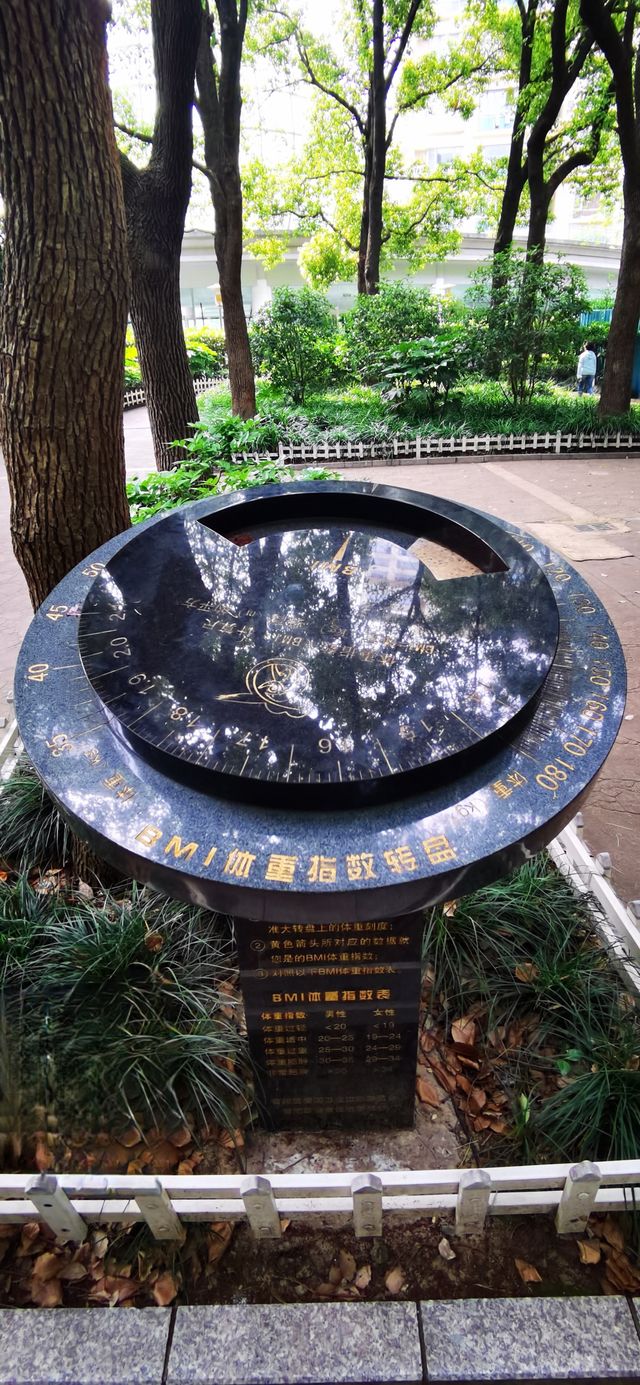 長壽公園：普陀人家門口的“清涼世界”