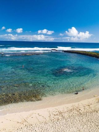 🌴🏖️ Hawaii Hideaway: Ocean Villas at Turtle Bay 🌺