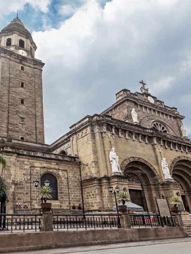 🌟 Manila's Chic Sleeps: Seda Vertis North Spotlight 🌟