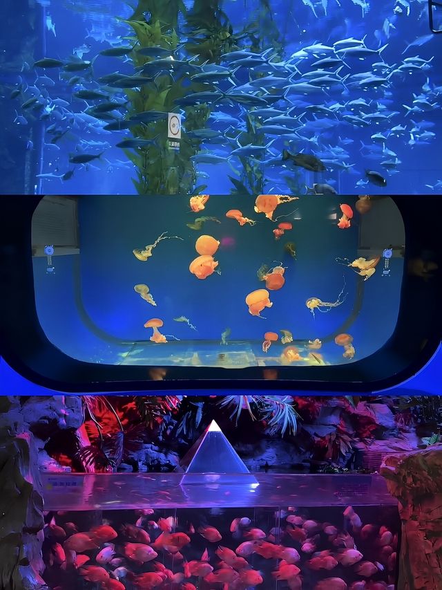 南昌融創海世界