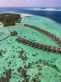 🌴 Maldives Magic: Ayada's Tropical Escape 🌊🏝️