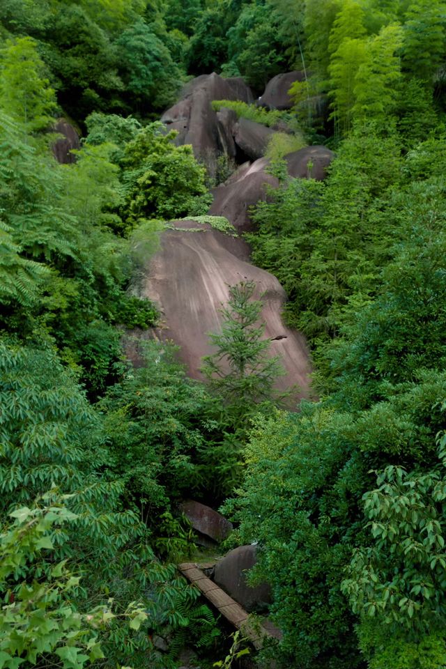 被鴨頭耽誤的寶藏山水小城~~衢州