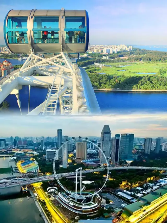 Recommended places to enjoy the best night views in Singapore.