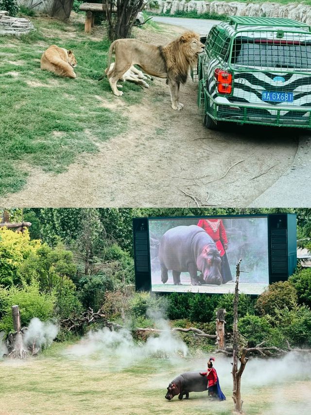 銀基動物王國係到呢度太開心啦。