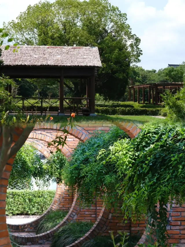 [Hidden Paradise] Wangxiangli, Jiaxing, your rural poetry and the distance.