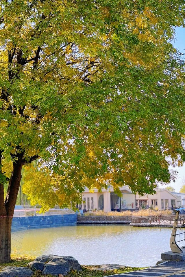 【西安滻灞濕地公園】探索城市綠洲，體驗自然與美食的完美融合。