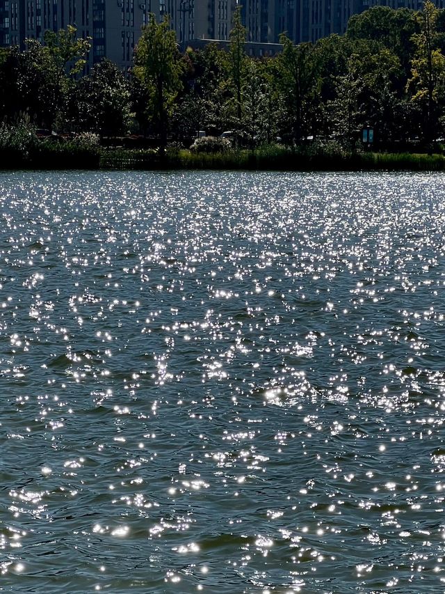 寧波日湖公園丨迷霧森林。