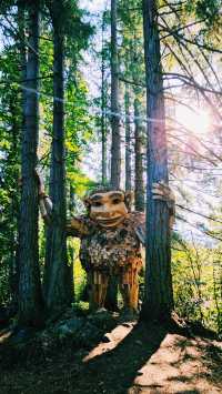 西雅圖自然之旅｜探索伊薩誇的「Jakob Two Tree」。