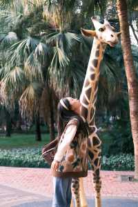 來成都玩一定不能錯過動物園。