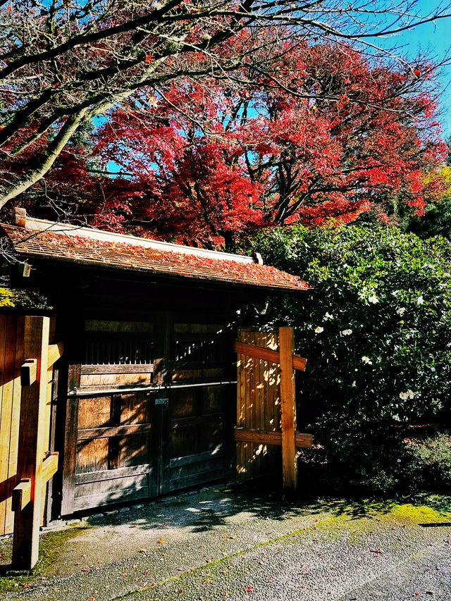 【東方韻味】圖盧茲日本花園旅遊攻略｜探索法國南部的日式風情。