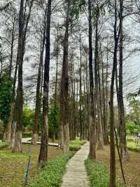 廣州天河區樹木公園|地鐵直達的草地溪流森林地。