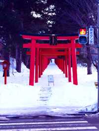 北海道旅行攻略：邂逅《情書》裏的那場雪。