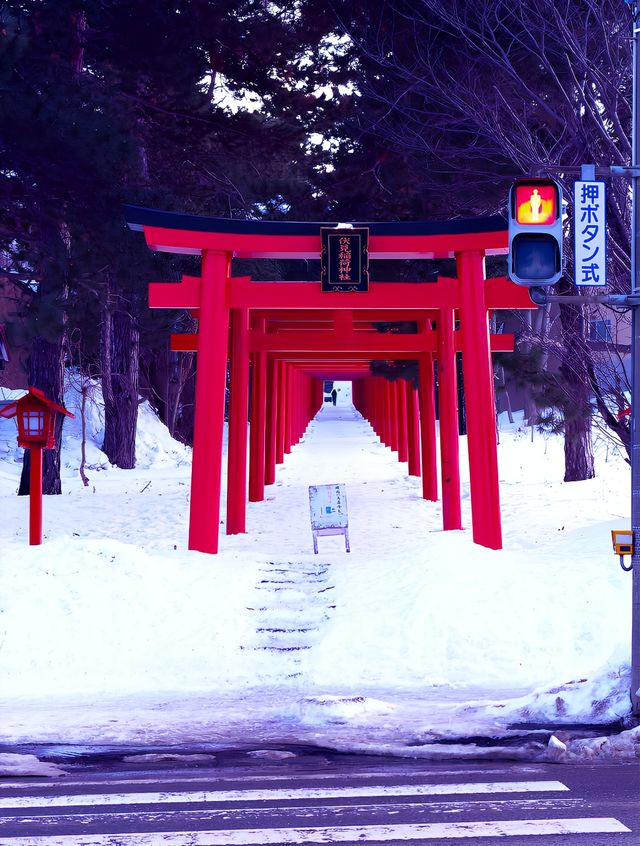 北海道旅行攻略：邂逅《情書》裏的那場雪。