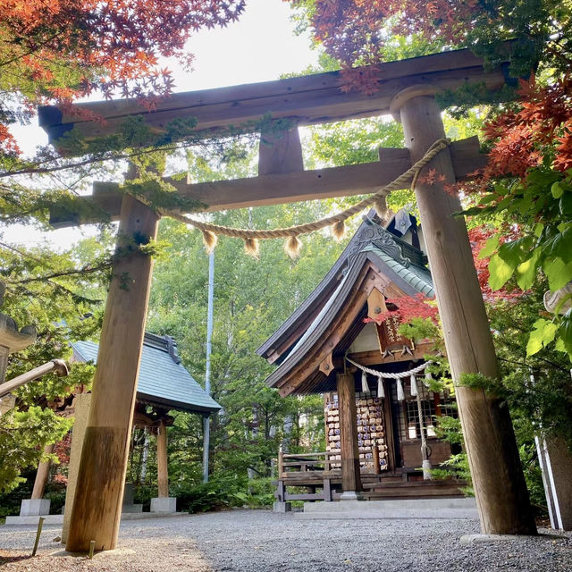 Tenjinyama Ryokuchi Park Japanese garden.