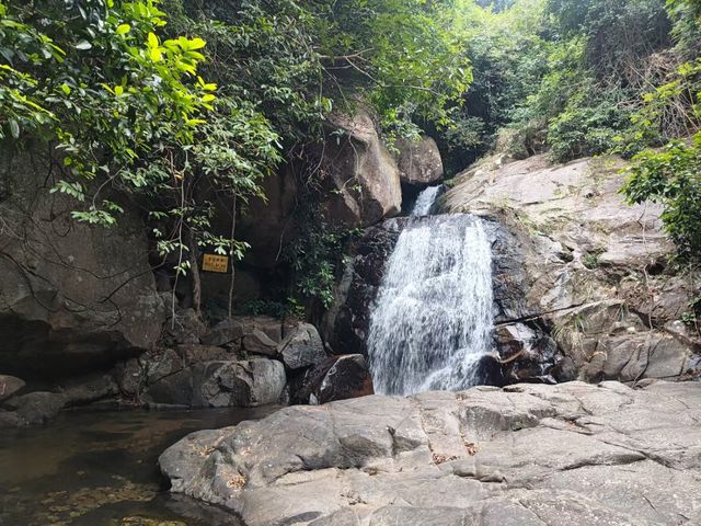 深圳市園山風景區。