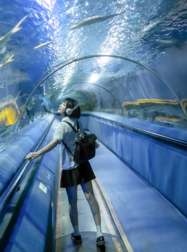 Listen to the locals | How to play at the Underwater World.