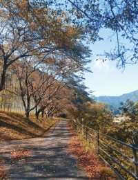 京都小眾郊區-美山町，你還不去嗎？