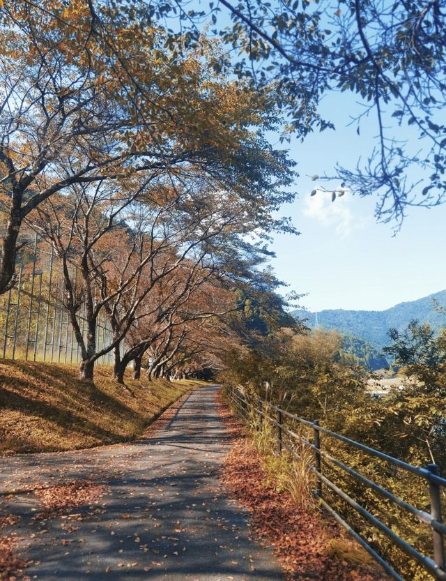 京都小眾郊區-美山町，你還不去嗎？