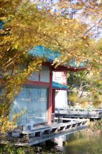 桂林西山公園 | 城市中的自然寶藏。