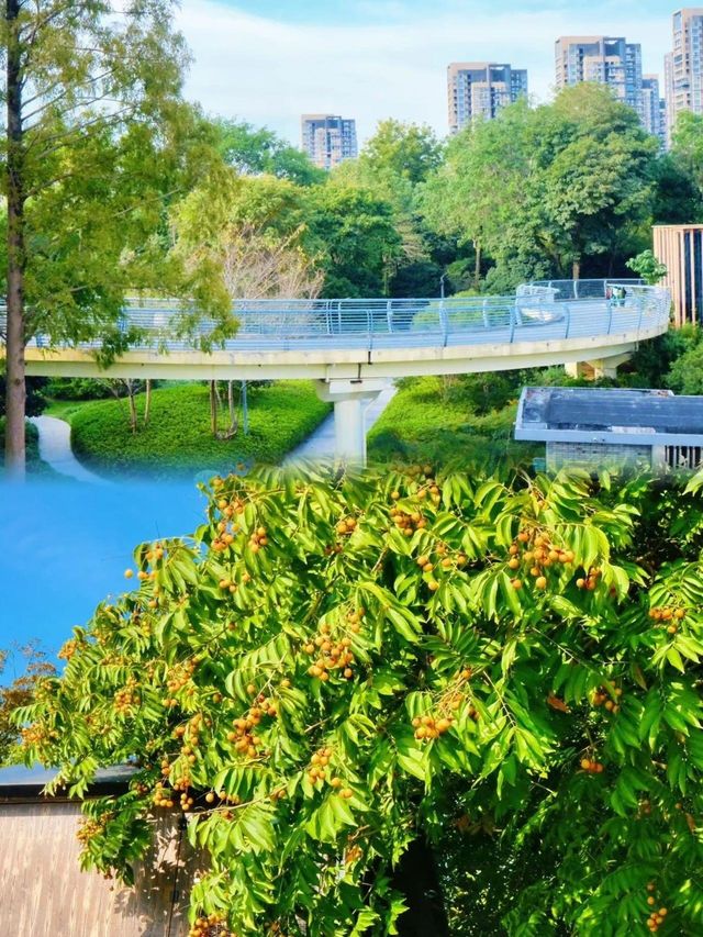 綠島公園。