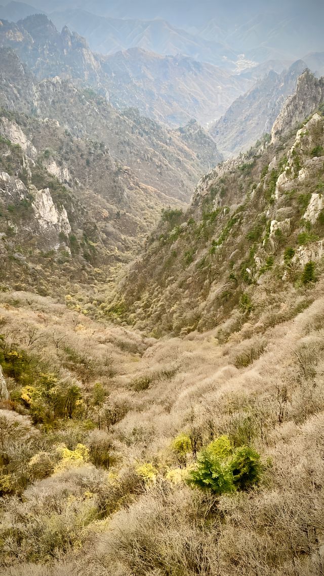 南陽老界嶺，高山之巔的夢幻之旅！。