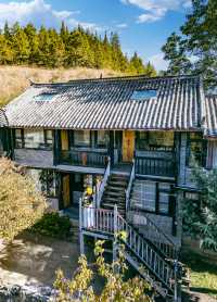束河古鎮住進陽光滿溢的森林大院。