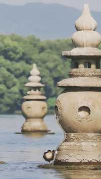 《心靈的慰藉之所：世間美景與人生哲思》。