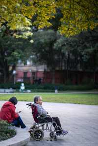 佛山超「植」愈的網紅老社區，盡顯森系花境。
