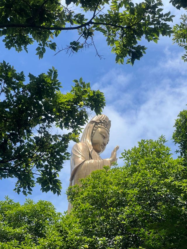 普陀山-寧波老友記：玩轉兩地不踩雷攻略。