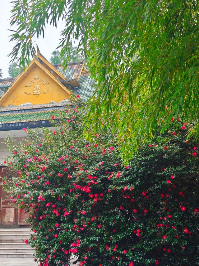 杭州東方文化園