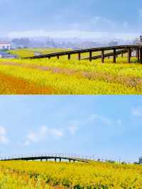 蜀南花海：夢幻之旅等你探索！