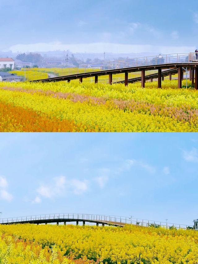 蜀南花海：夢幻之旅等你探索！